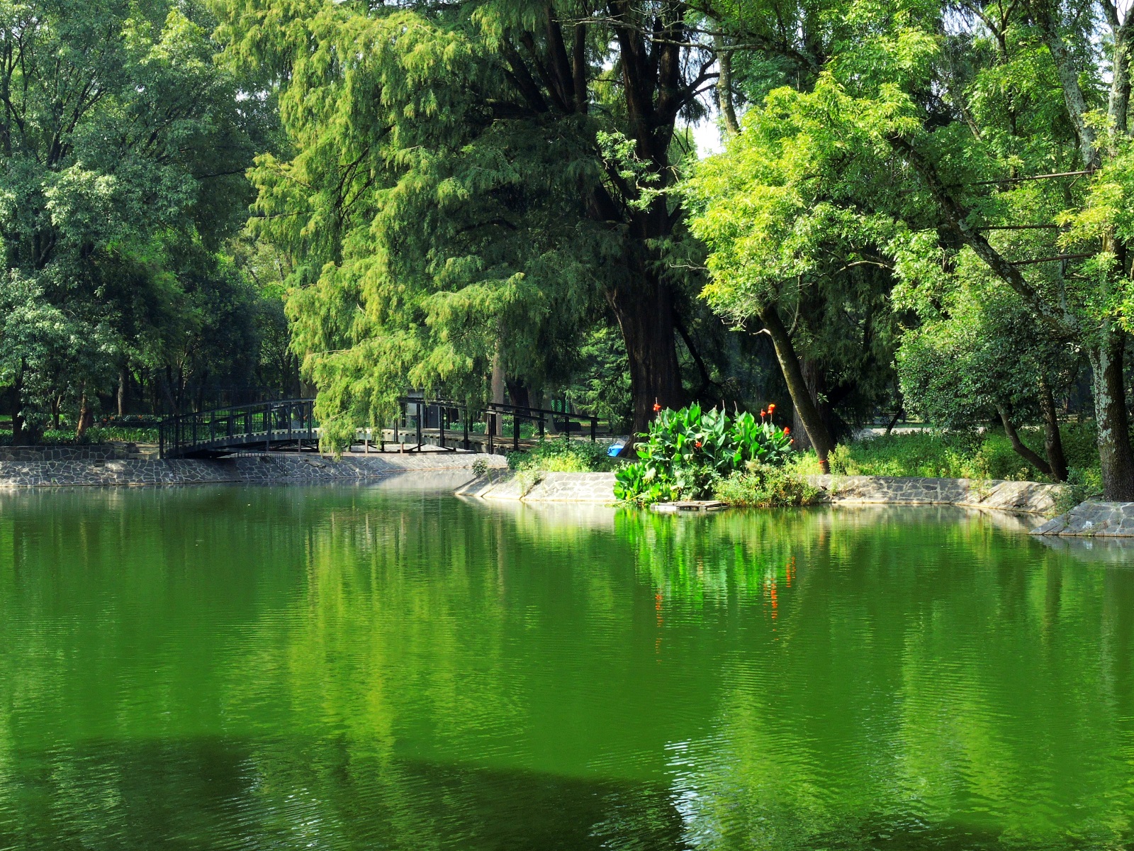 Bosque de Chapultepec